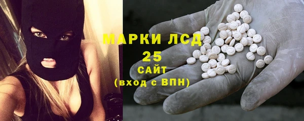 гашик Богородск