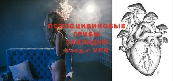 соль курить ск Богданович