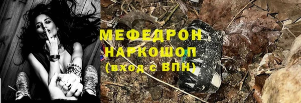 индика Беломорск