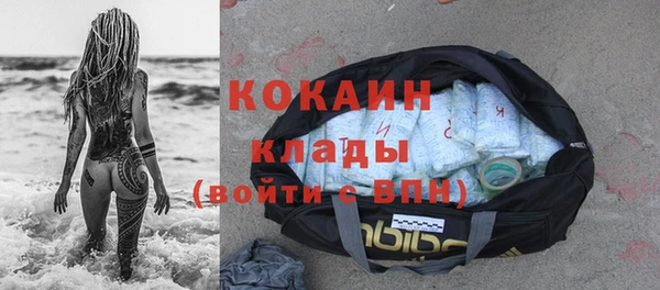 индика Белокуриха