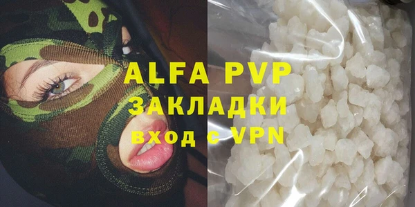 индика Белокуриха