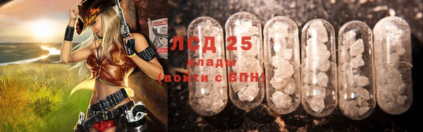 индика Белокуриха