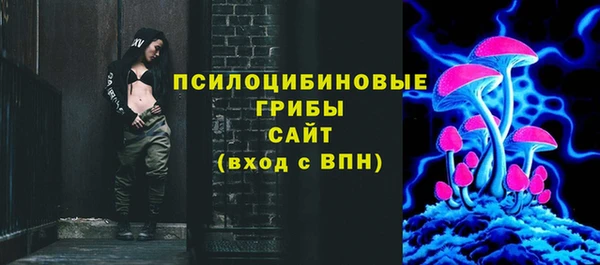 гашик Богородск