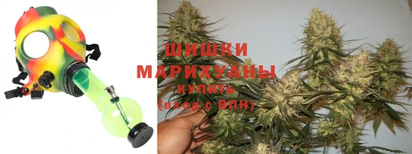 гашик Богородск